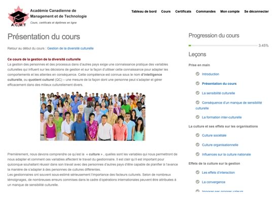 image contenu cours intro management ou gestion d'entreprise formation à distance